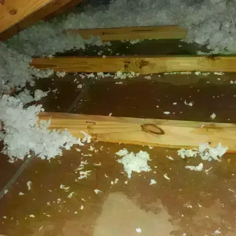 Attic Water Damage in Midtown, TN